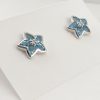 18ct White Gold Blue Topaz and Diamond Earrings-1009