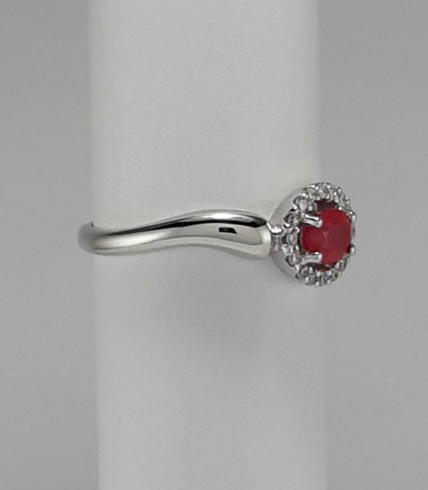 9ct White Gold Ruby and Diamond Oval Cluster Ring -1174